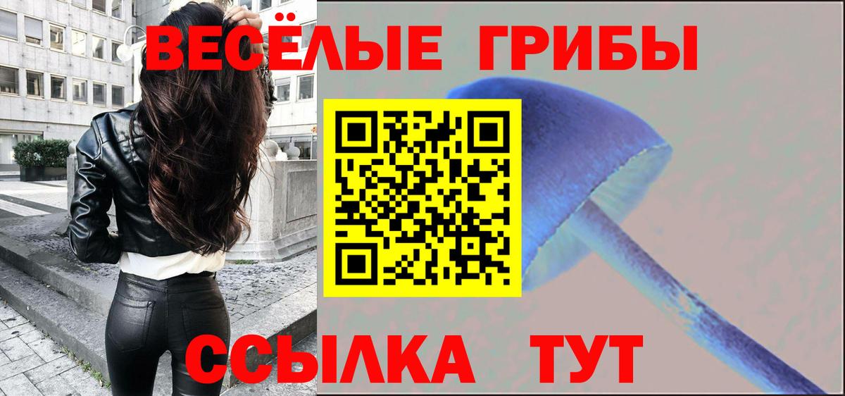Псилоцибиновые грибы прущие грибы Ревда