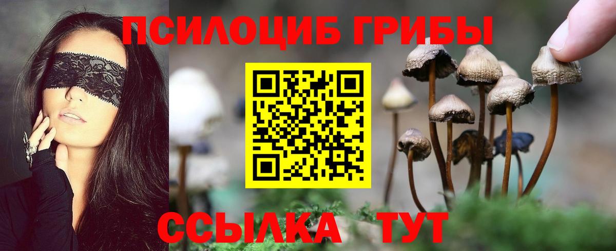 Ревда  Псилоцибиновые грибы мицелий  Вход с VPN  Псилоцибиновые грибы Cubensis 